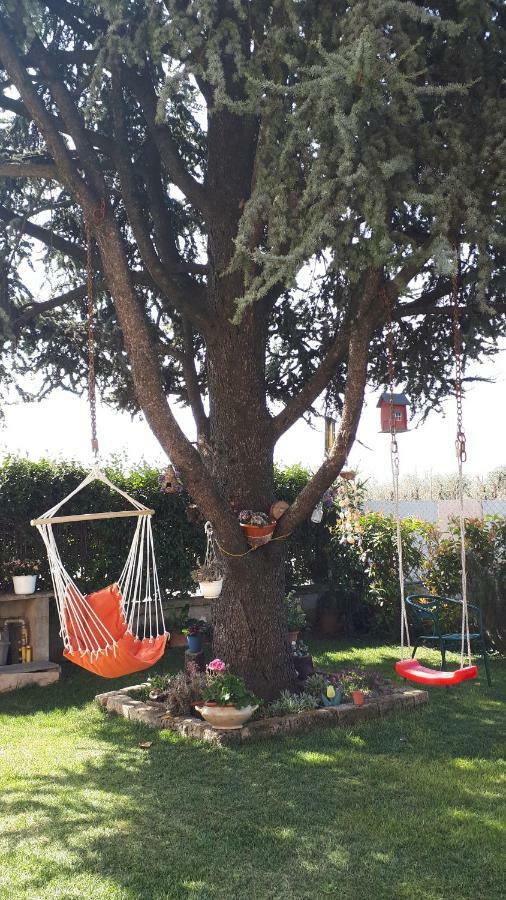 B&B A Casa Di Eleonora Villafranca di Verona Buitenkant foto